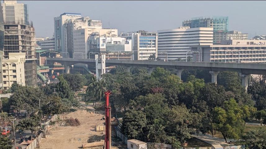 OP 2 - Apathy and lack of legal protection endanger dwindling urban greenery_1.jpg