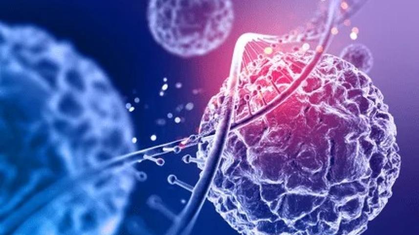 3L for 4 jan 2026_3c49.jpg