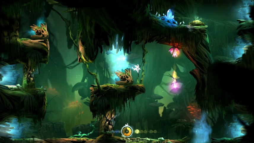 7._ori_and_the_blind_forest.jpg