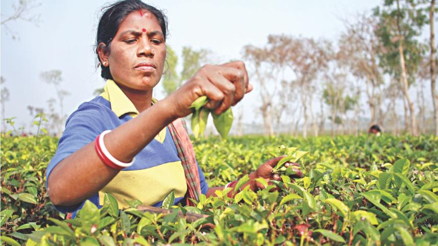 A Fight for Land and Livelihood