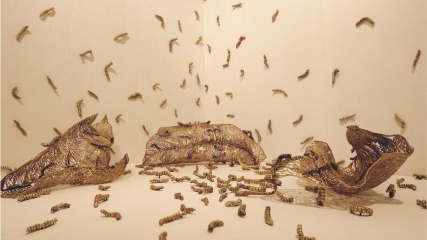 A Journey to the Centre of Art