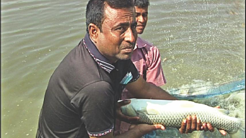 Agriculture development 2.jpg