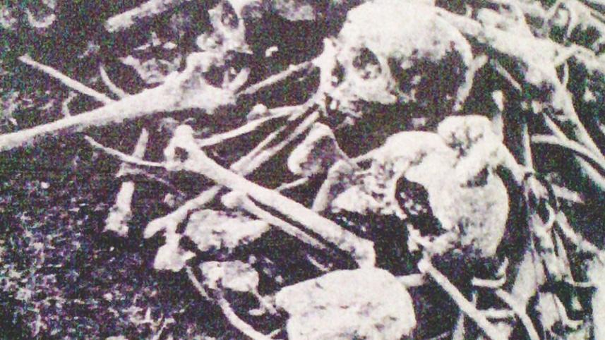 Alamdanga killing field