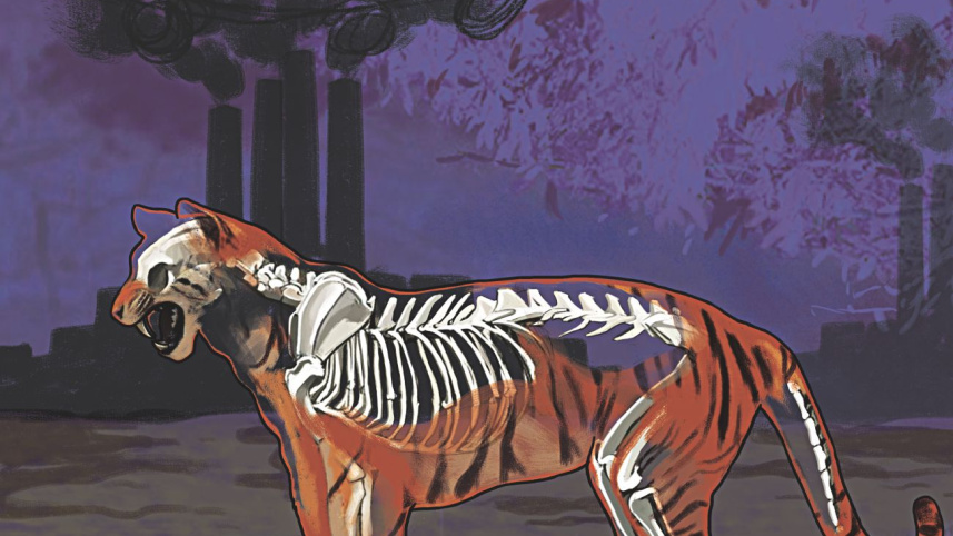 an_epic_saga_of_loss