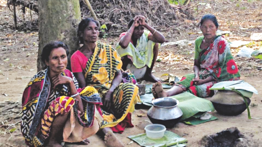 The High Court questions the legality of looting, firing bullets on Santal people,attacks on Gaibandha Santals,Gobidaganj upazila,eviction,police killing