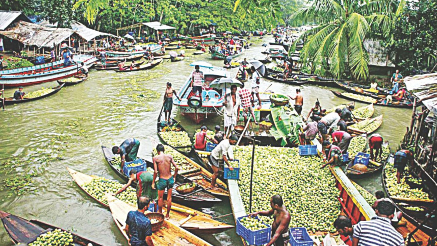 A floating guava market at Vimruli in Jhalakathi district 