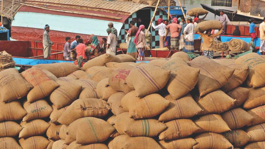 Boro harvesting season 8.jpg