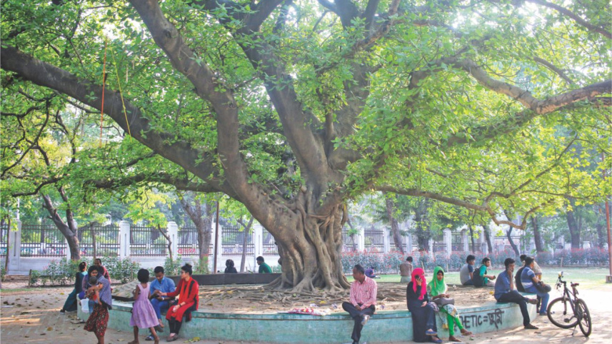 Independence day celebration 2018