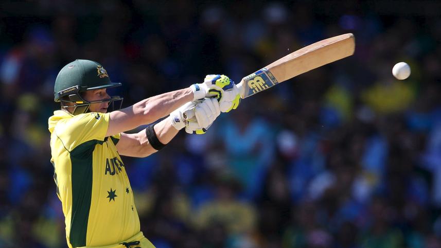 Steven Smith makes a stand