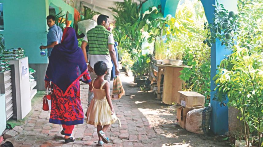 Different Shades of Green