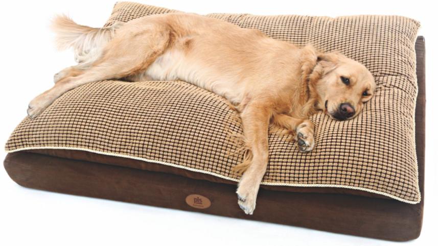 ensuring_a_pet_friendly_winter