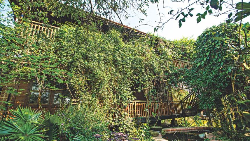 Far from the madding crowd