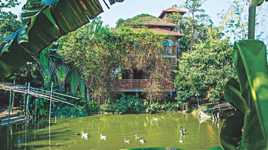 Far from the madding crowd