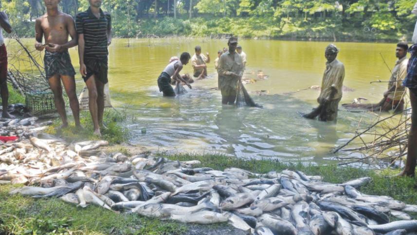 fertiliser factory blast 1.jpg