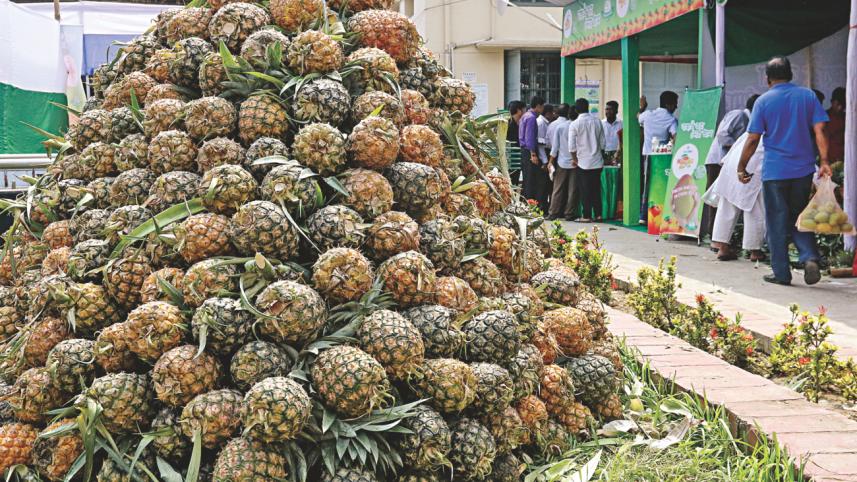 Fest of Fruits 2.jpg