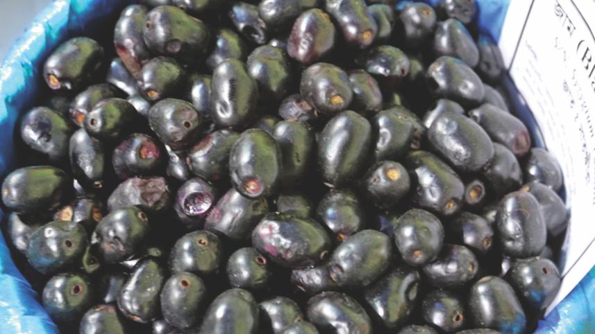 Fest of Fruits 3.jpg