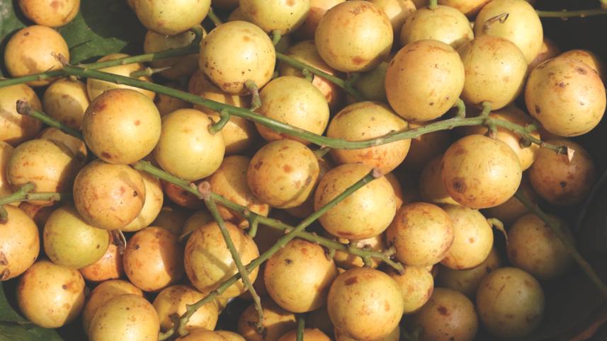 Fest of Fruits 4.jpg