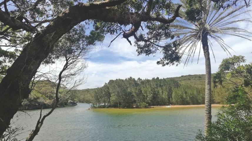 Five places to visit in Sydney, Australia