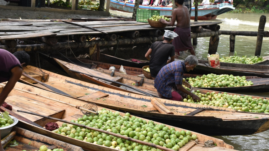 floating_guava_markets_2.jpg