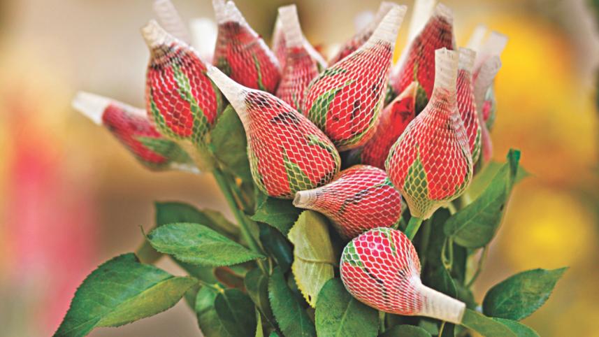 Flower Fiesta 10.jpg