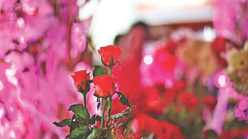 Flower Fiesta 11.jpg