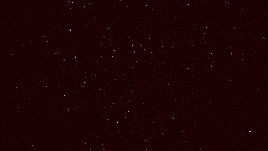 MeerKAT's first image shows 1,300 galaxies
