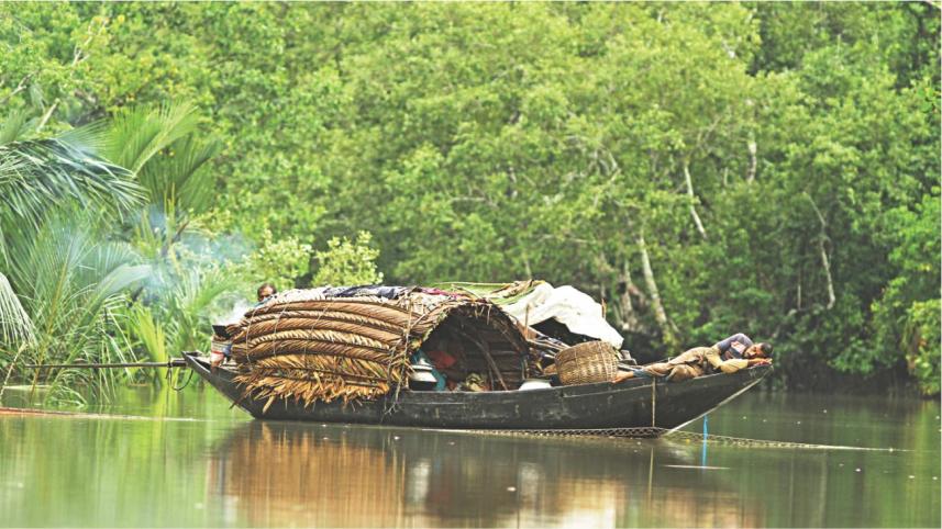Gambling with the last glory of Bengal