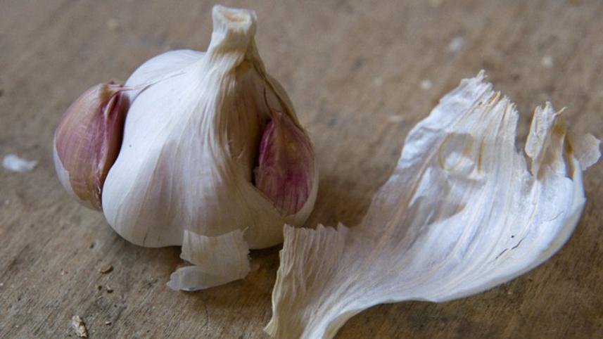 garlic.jpg