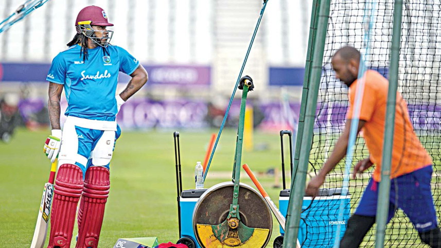 gayle_4.jpg