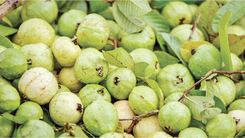 Guavas2.jpg
