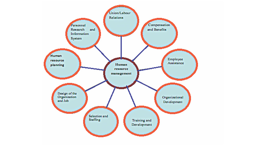 human_resources_4.jpg