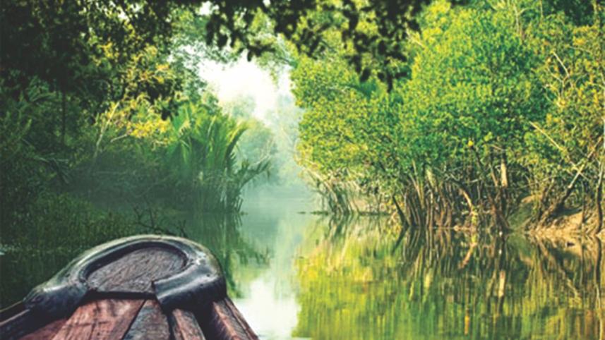 In the land of the Bengal tigers