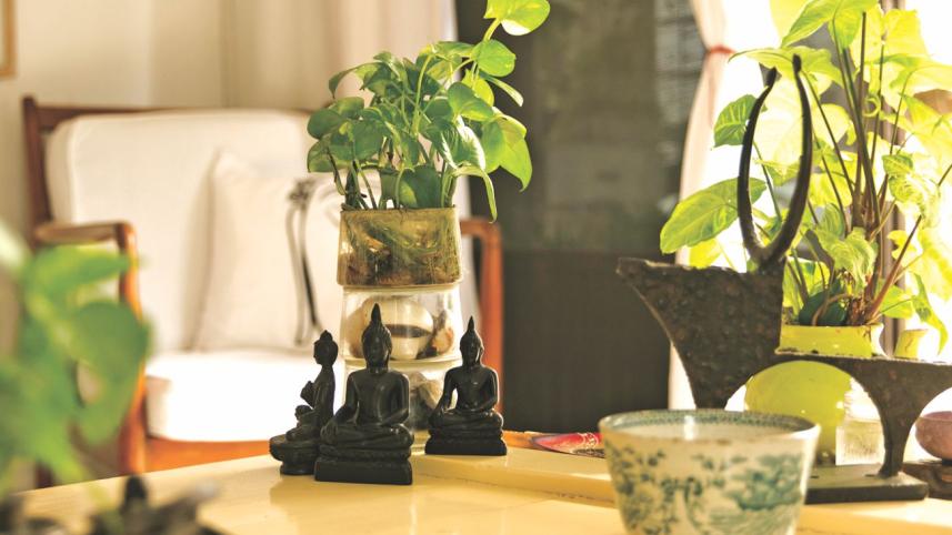 indoor garden 08.jpg