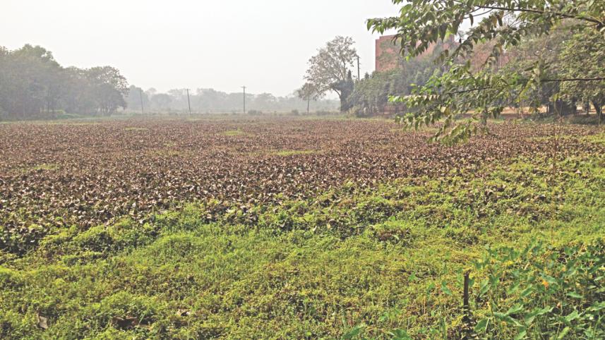 Jahangirnagar University 2.jpg