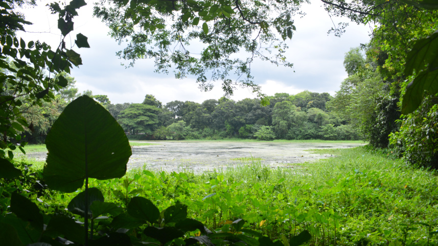jahangirnagar_university_campus_2.jpg
