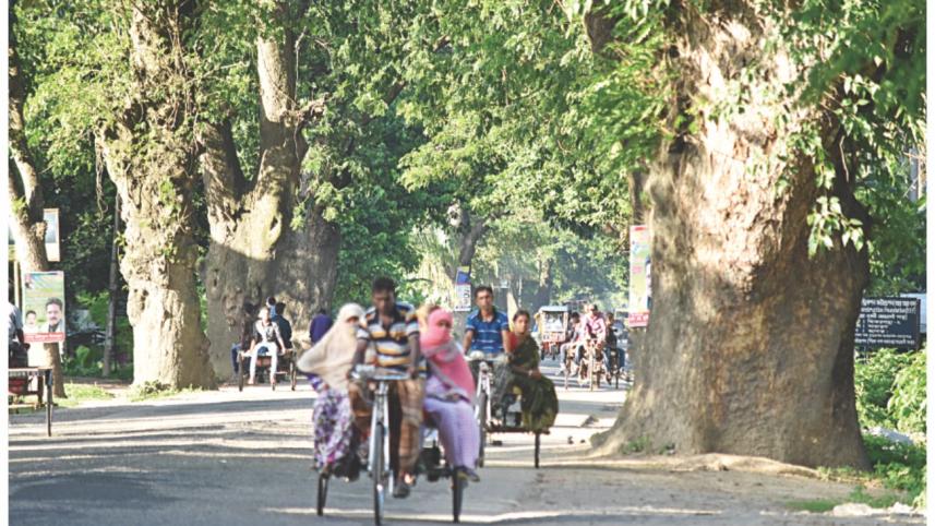jessore_road1.jpg