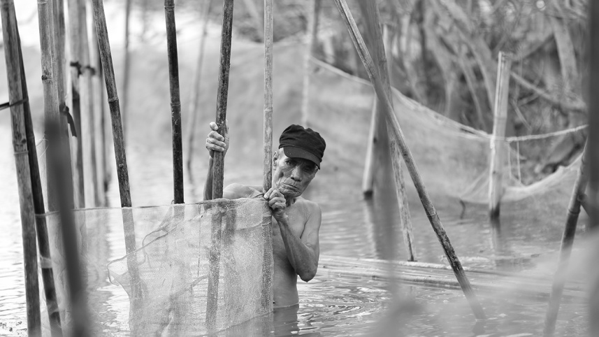 mangrove-forest-in-Vietnam