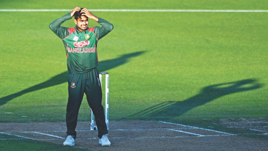mehedi_3.jpg