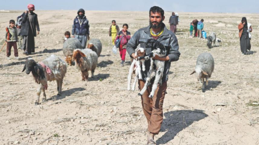 mosul_2_0.jpg