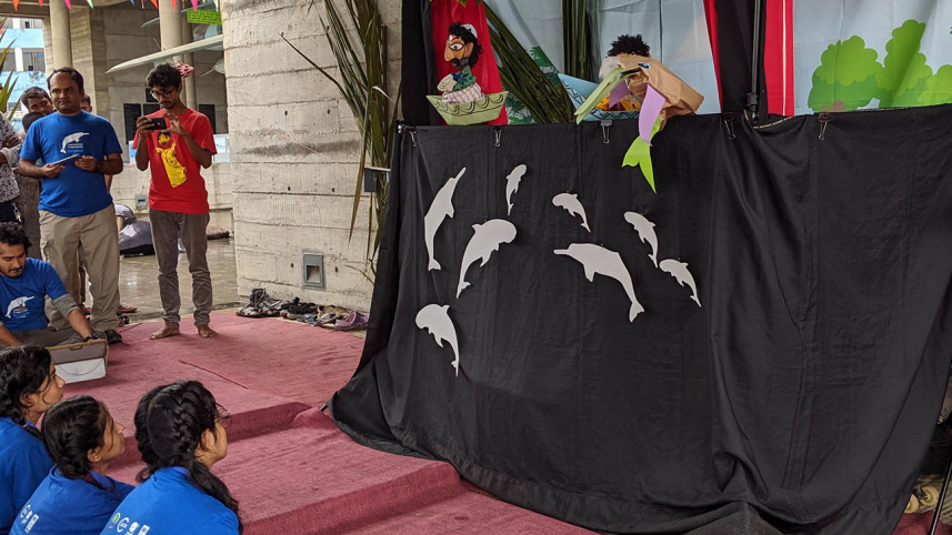 World Dolphin Day 2019