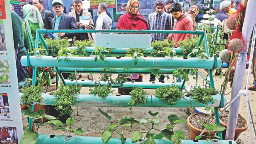 national_vegetable_fair_2.jpg