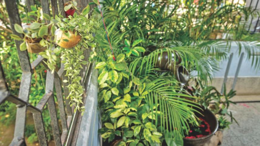 Painting the terrace walls