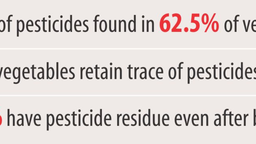 pesticide_in_vegetables.jpg