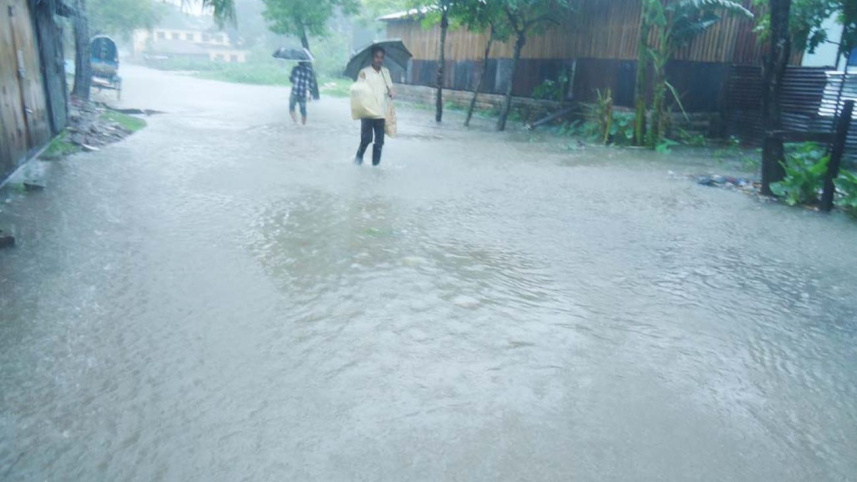 Rain paralyses 2.jpg