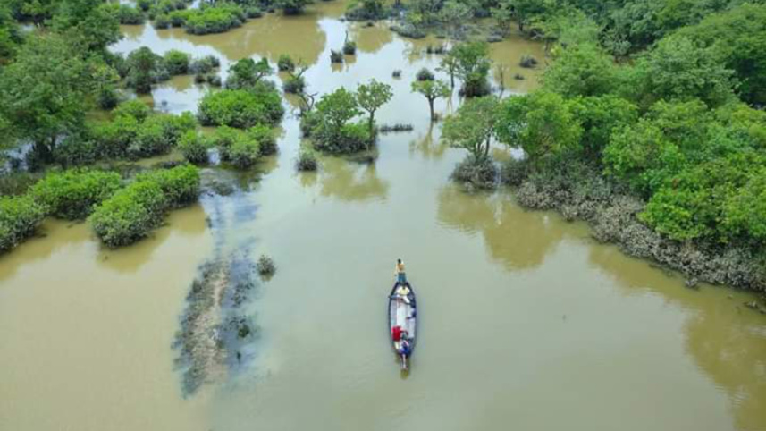 Ratargul Swamp Forest, Sylhet