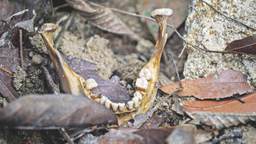 Royal Malaysian Police 4.jpg