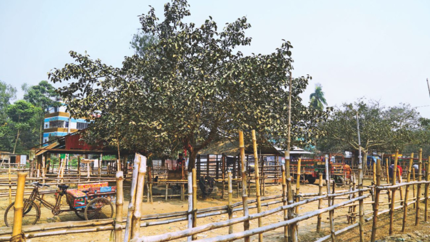 salanga_massacre_of_1922