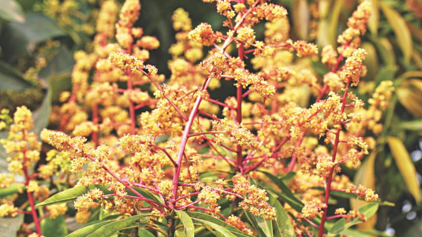 Season Of Change  3.jpg