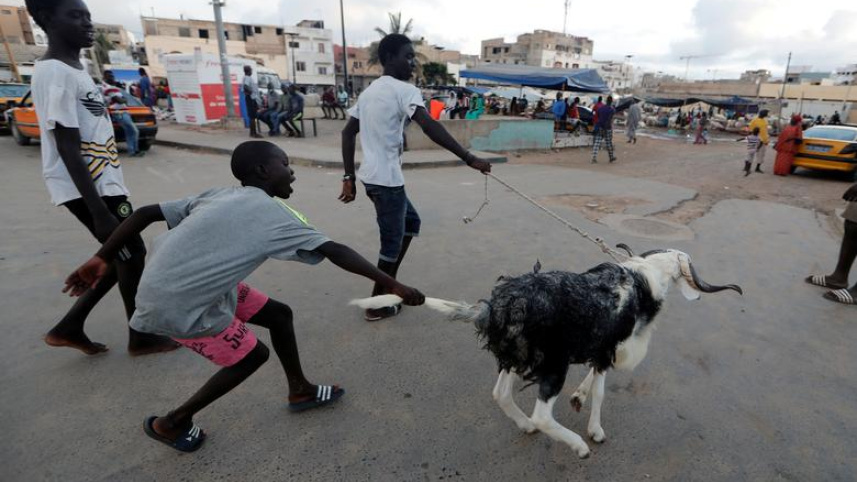senegal.jpg