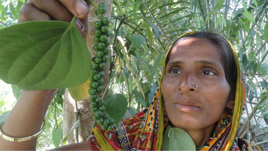 Shahiron Begum 2.jpg